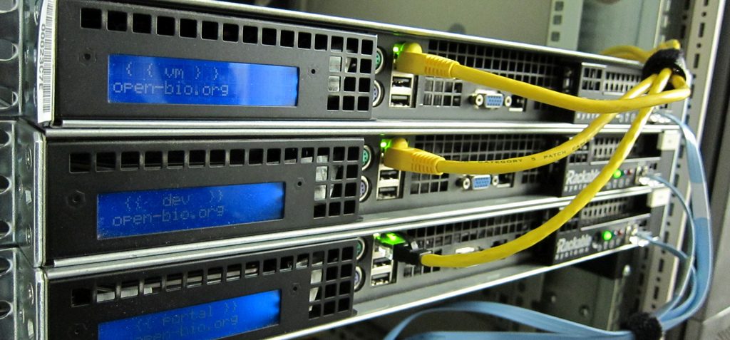 Web Hosting